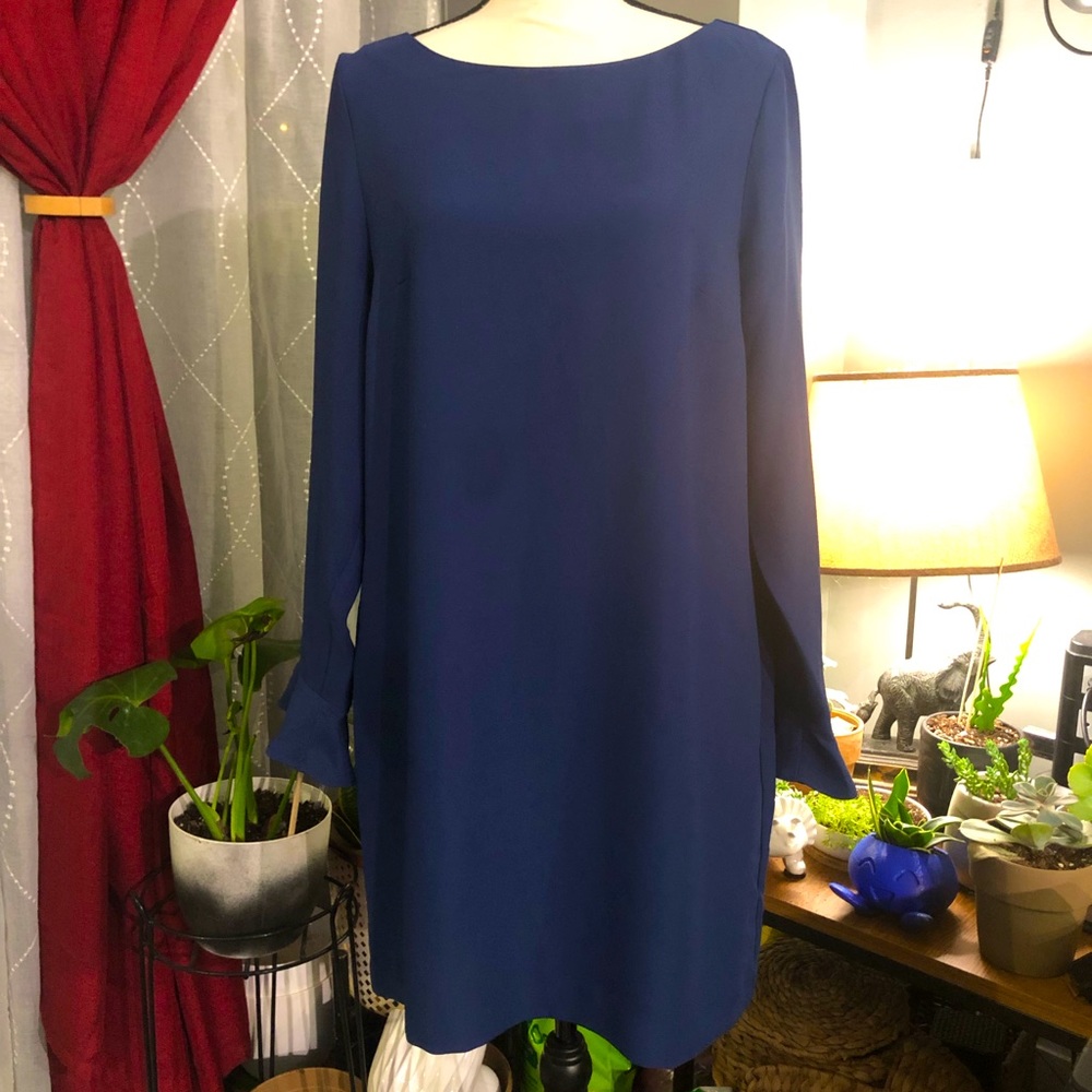 Long Sleeve Shift Dress. NWOT